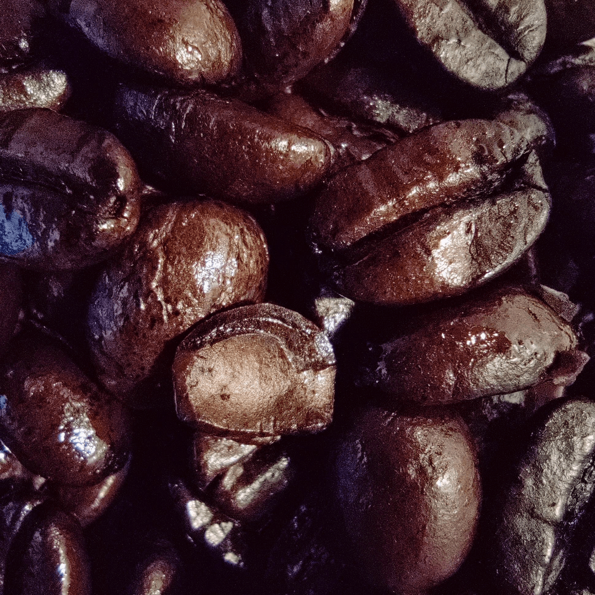 Close up of coffee beans