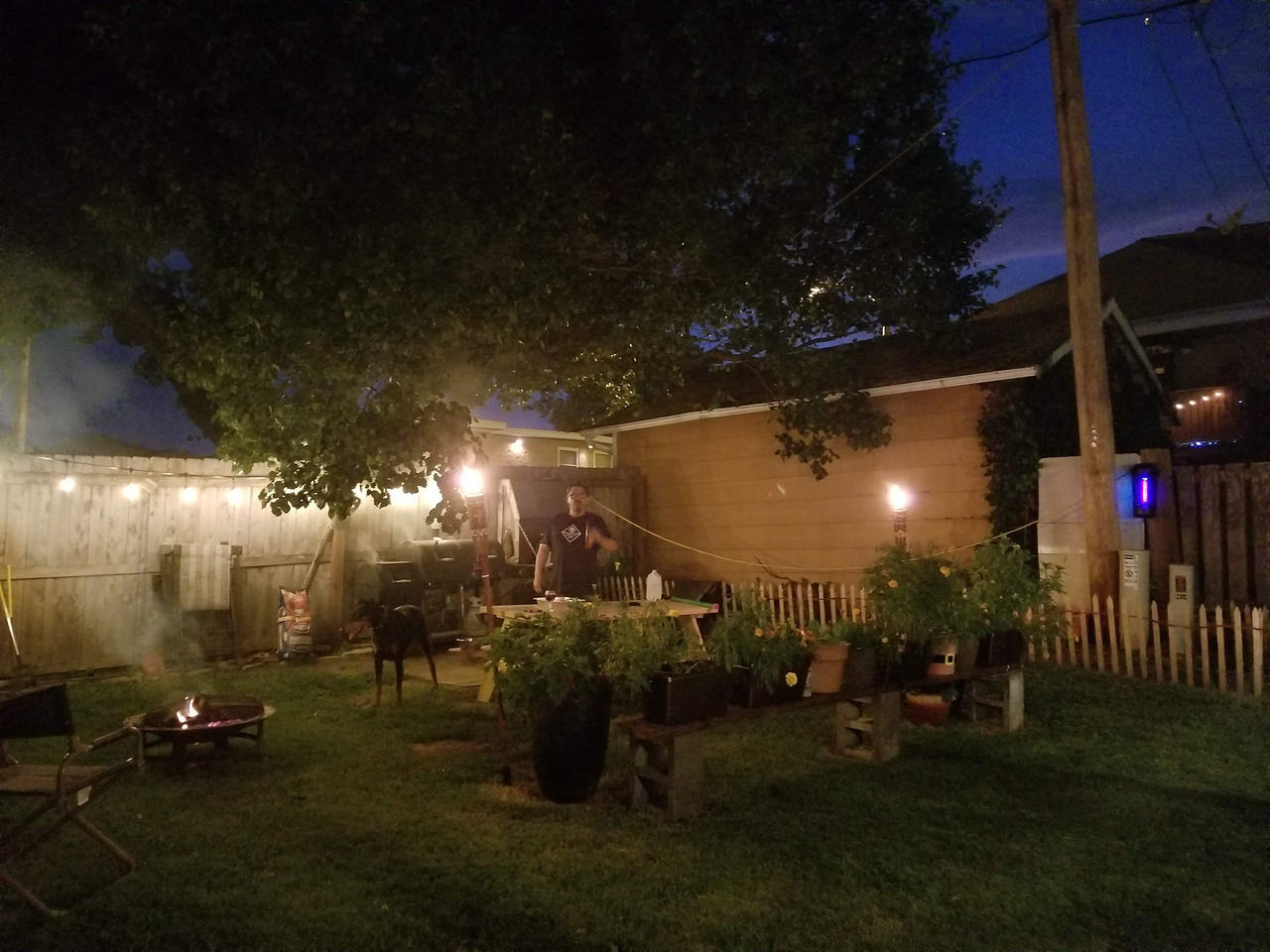 The Backyard